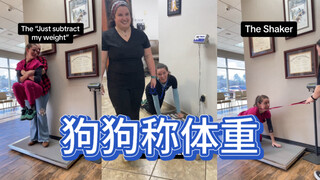 兽医热演：不同类狗狗称体重be like：