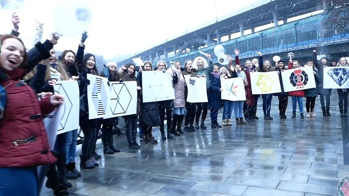 【EXO】EXO7周年之EXO-L最强应援(国外爱丽)
