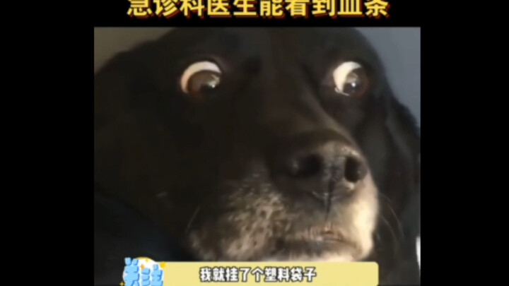 When you’re in the ER, don’t suck it up if you really can’t bear it.