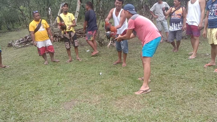 nadisgrasya Yung nag bitaw napalo Ng manok nla. butik hindi malalim ang sugat