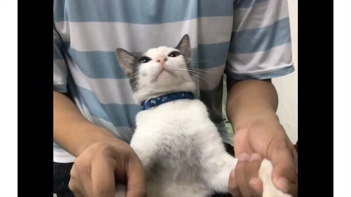哥们认为他是专业的