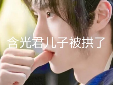 （忘羡允影）含光君儿子被拱了14