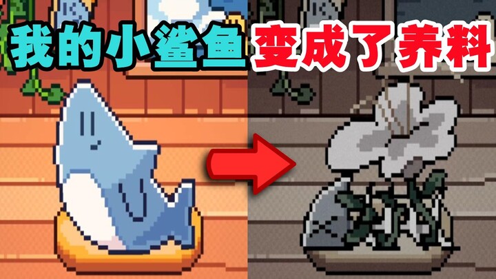 You must take good care of this adorable little shark, or something terrifying will happen! — [My Li