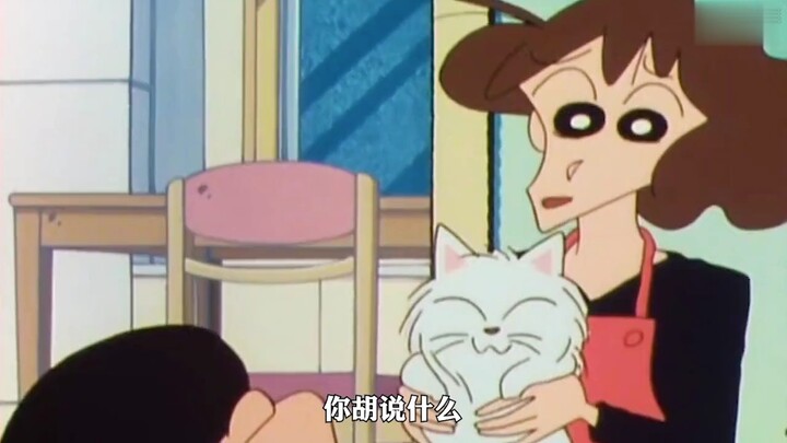 当小新家来了一只价值二十六万的猫，会发生什么有趣的事情呢。。
