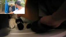 "Everyday Situations" 04: Multiple Layers Parker Zippel's Reaction