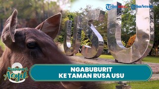 NGABUBURIT ASYIK: Jalan-jalan ke Taman Rusa USU dan Masjid Raya Al-Mashun