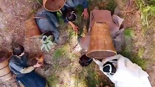 | พากย์ไทย | ทะลุมิติมาเป็นแม่เลี้ยง พร้อมระบบ 2