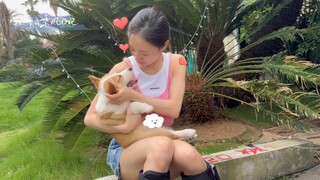 [Nhật ký cưỡi gió của Nic Zheng] vlog EP06 Chia sẻ hậu trường buổi tập nhảy của Jingwei Nobody