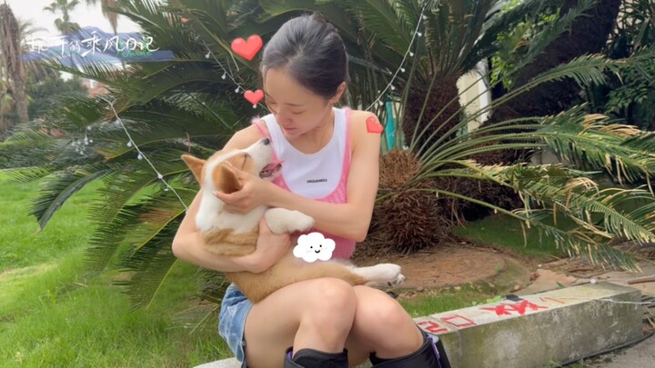 [مذكرات نيك تشنغ عن ركوب الريح] فيديو EP06 مشاركة خلف الكواليس لتدريب رقص جينغوي نوبدي