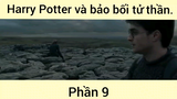 Harry Potter và bảo bối tử thần phần 9