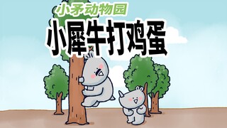 【小矛动物园】小犀牛真孝顺！