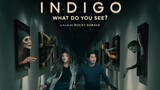 INDIGO: What Do You See? || 2023