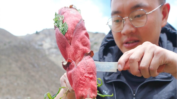 虎杖吃过了，来尝尝大黄，味道还阔以，就是酸得流口水