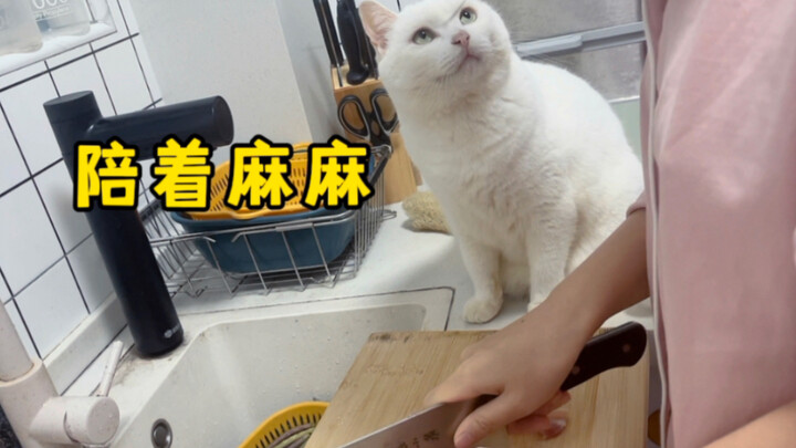 رفيقي في الطبخ، لا تلعب مع أبي، فقط تحب أن تلتصق بأمي!