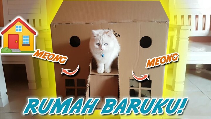 KEREN! 😻 Membuat Rumah Kucing Dari Kardus. 🐱🏠🐈 CAT BOX.
