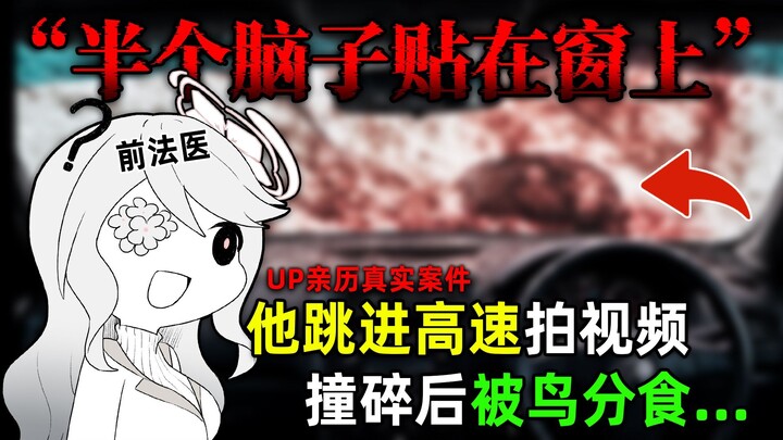 『我曾是个法医』粉丝流量险中求，轮下滚滚命归天。