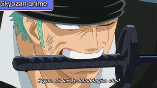 Zoro vs pica pertaruangan haki