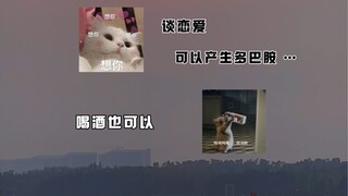 终于找到了代替谈恋爱的方法