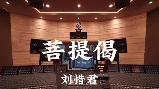 刘惜君《菩提偈》（独孤天下ost）百万豪装录音棚大声听【Hi-res】