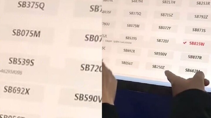 Man picks a license plate all starting with “SB,” painstakingly settles on the “screw-up teammate” s