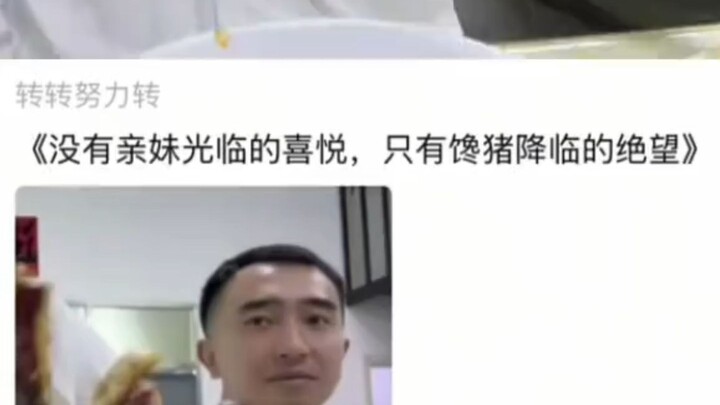 “Không có niềm vui khi em gái tới thăm, chỉ có nỗi tuyệt vọng khi con heo tham ăn ập đến”