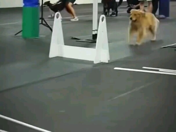 Three Footprints Over 100 Kilometers