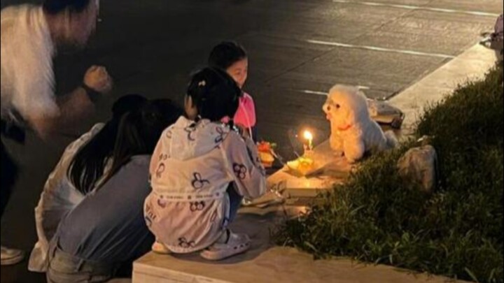 หมา: ชีวิตจะเหมือนกันหมดทุกคนได้ยังไงกัน!