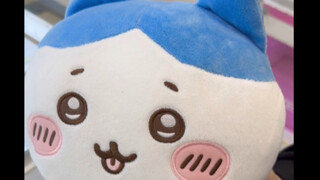 【Chiikawa】斯～芬～克～斯～～