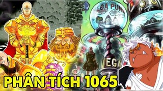 Jinbei Tóc Trắng Mạnh Đến Mức Nào Công Nghệ Vương Quốc Cổ  One Piece 1065