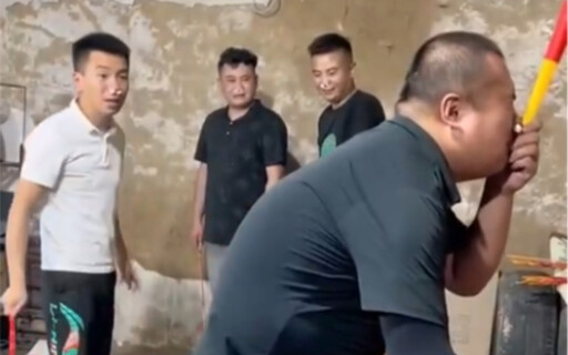 Fly Swatter Quality Inspector