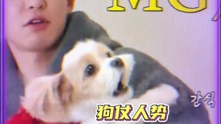 Park Chan-yeol's dog vividly demonstrates what it means to act high and mighty with human support!
