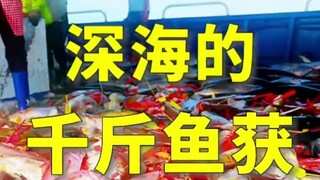 Một cuộc phiêu lưu dưới biển sâu hiếm có