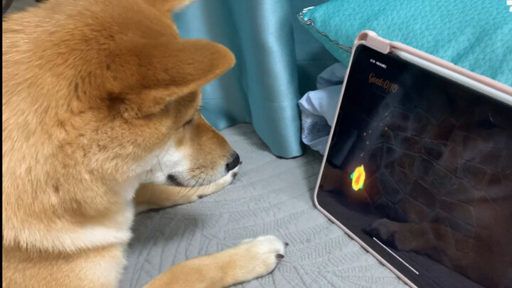 From a gaming newbie to an internet-addicted girl