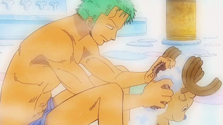 Zoro and Chopper's sweet daily life