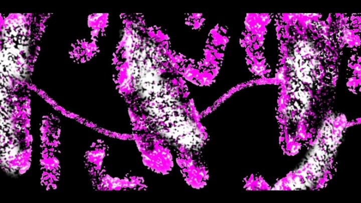 có hơn hai lần trước ko (Karonji mitsuri )