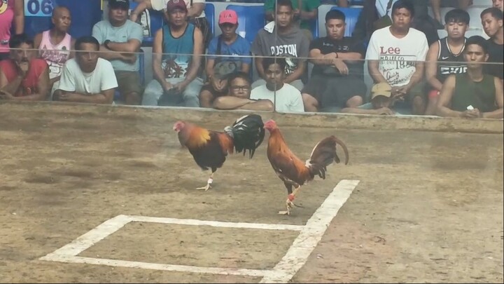 TAYTAY ARENA 2 HITS - FIRST FIGTH