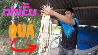 Vừa Bị troll Xong Thì Rủ Lội Nước thần này lắm chiêu AE ạ