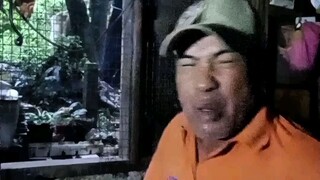 funny videos