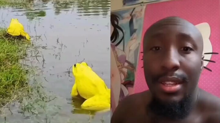 ปฏิเสธการเหยียดเชื้อชาติ