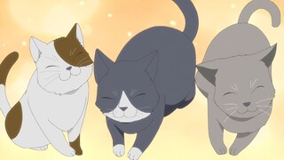 Uchi no Kaisha no Chiisai Senpai no Hanashi tập 8