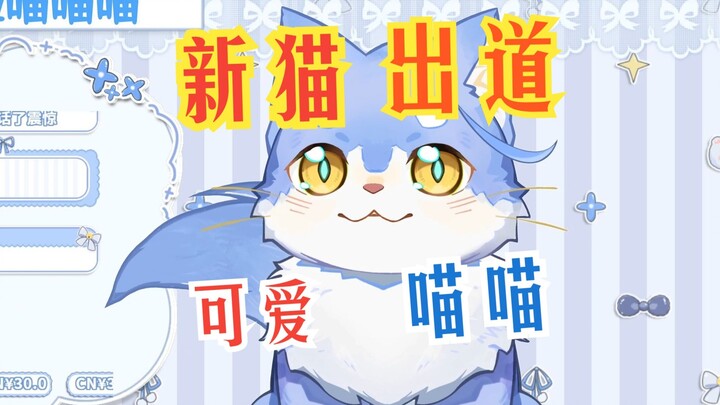 新猫出道喵【艾莎】
