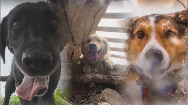 I’d call this the most promising photo on the entire internet!