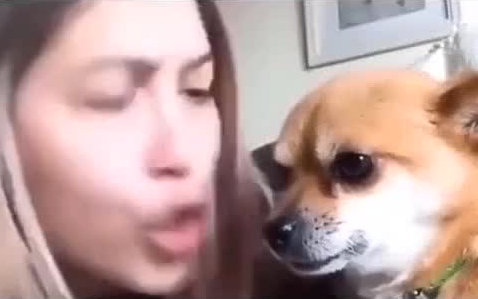 Phần thưởng cho hành vi gây nhầm lẫn của con người