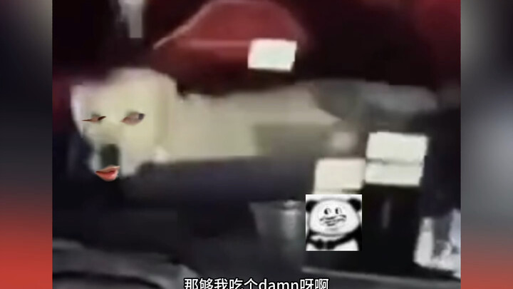 คนขับ: เหนื่อยเหมือนหมาเลย