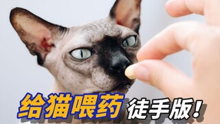 手把手教你，如何给猫喂药！