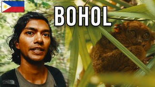 Deep in the Philippines Jungle - Bohol Travel Vlog 🇵🇭