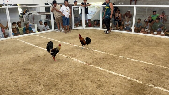 2 HITS ULUTAN @NM AMULUNG COCKPIT - BOSS ATAN - LW