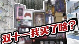 看看我双十一花一万元都买了什么乱七八糟的东西！【简单开盒】