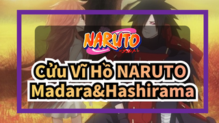 Cửu Vĩ Hồ NARUTO
Madara&Hashirama