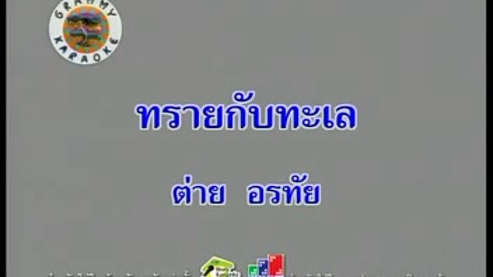 9.ทรายกับทะเล (คาราโอเกะ) - ต่าย อรทัย
